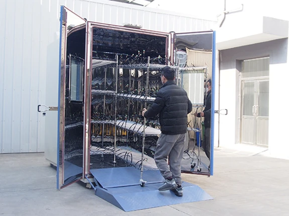 Precision-Driven Innovation Custom Temperature Test Chamber for RTU Thermal Cycling by LIB Industry4